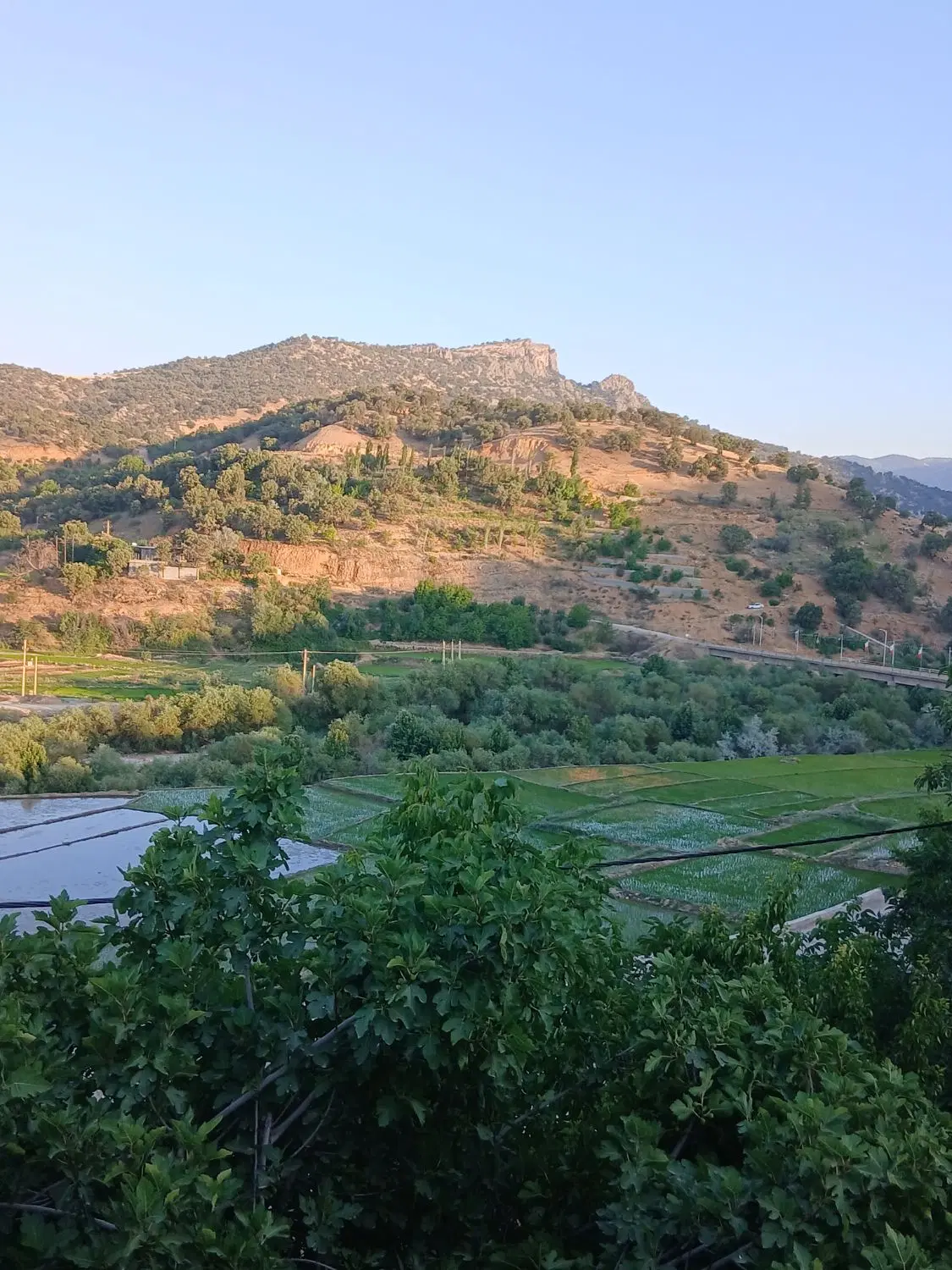 زمین شهرک جانبازان قطعه ۵۹۴ ۲۰۰ متر شمالی