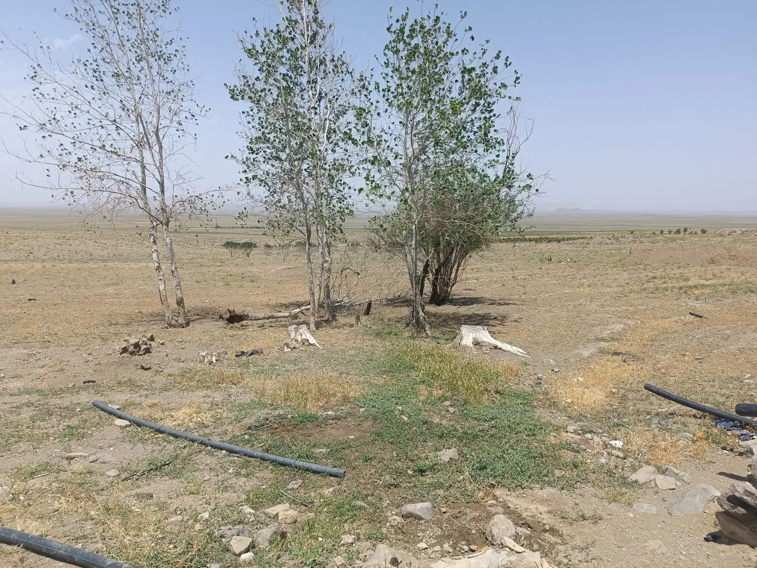 چند قطعه زمین باغی درکاهومجتمع زعفرانیه نقد معاوضه