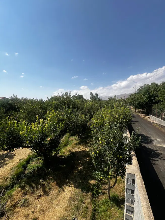 جابان دماوند باغچه با درختای بینظیر
