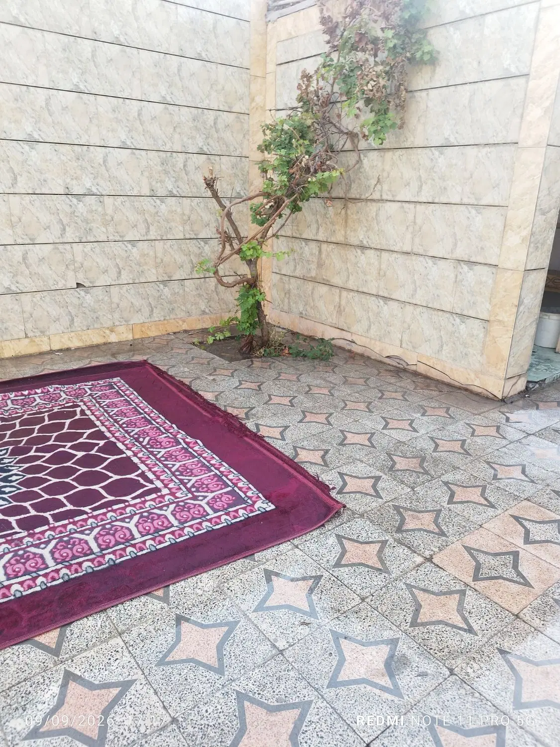 خونه جهت رهن و اجاره 500با پنچ میلیون