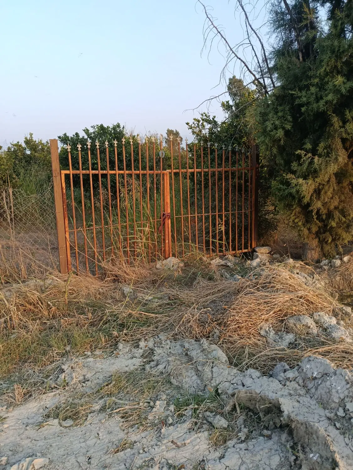زمین باغی