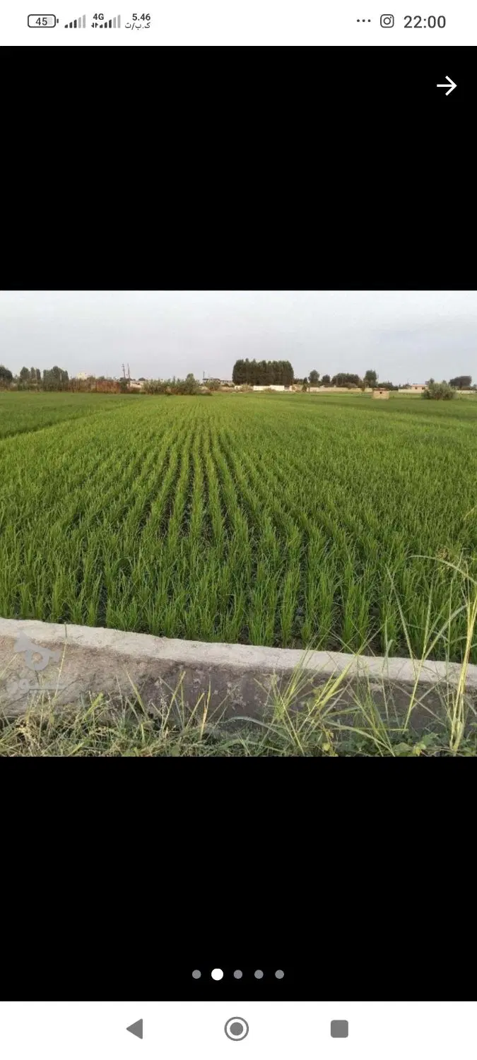 زمین کشاورزی