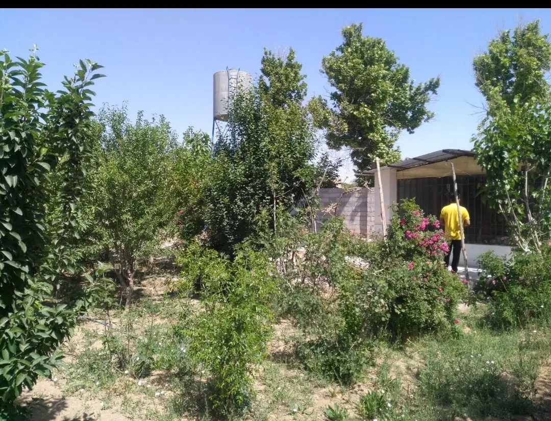 باغ 4 دیوار خوشجا