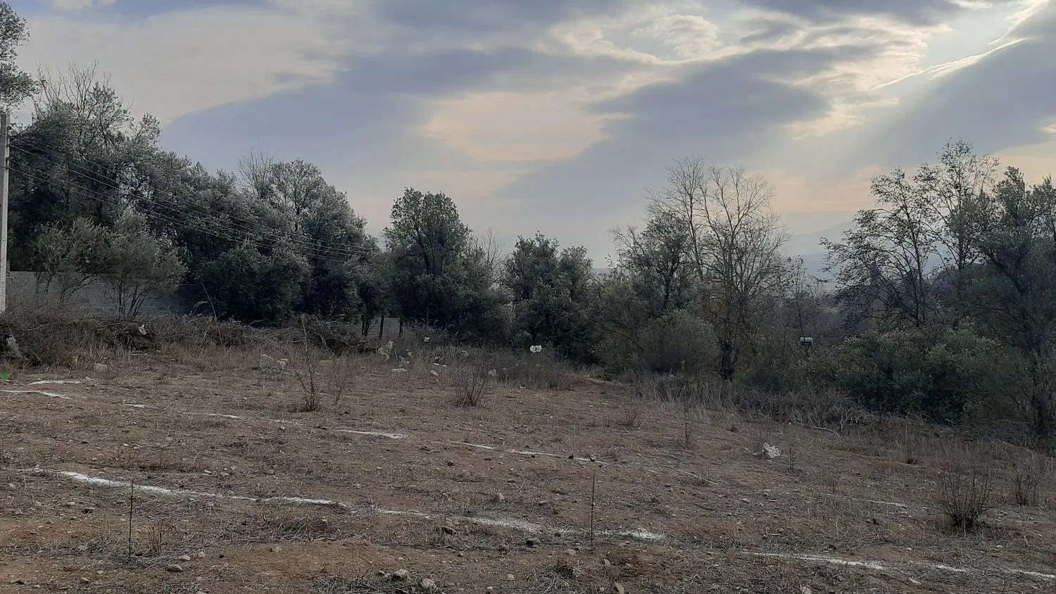 فروش زمین