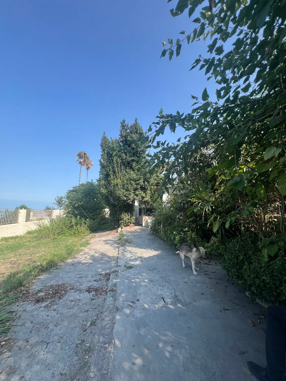 اجاره سالیانه ویلای ساحلی