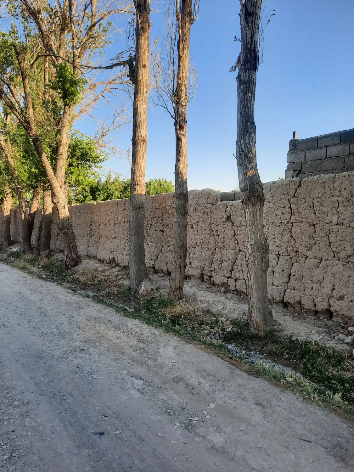 ۷۵۰ متر باغچه در شهریار بکه