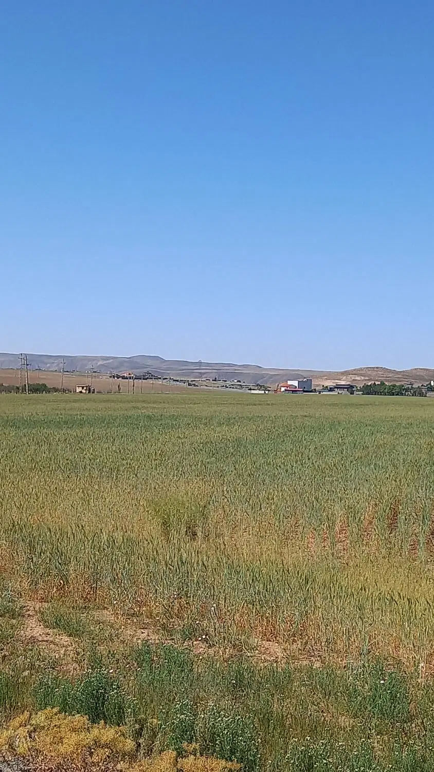 389متر زمین سرمایه گذاری سید آباد دماوند