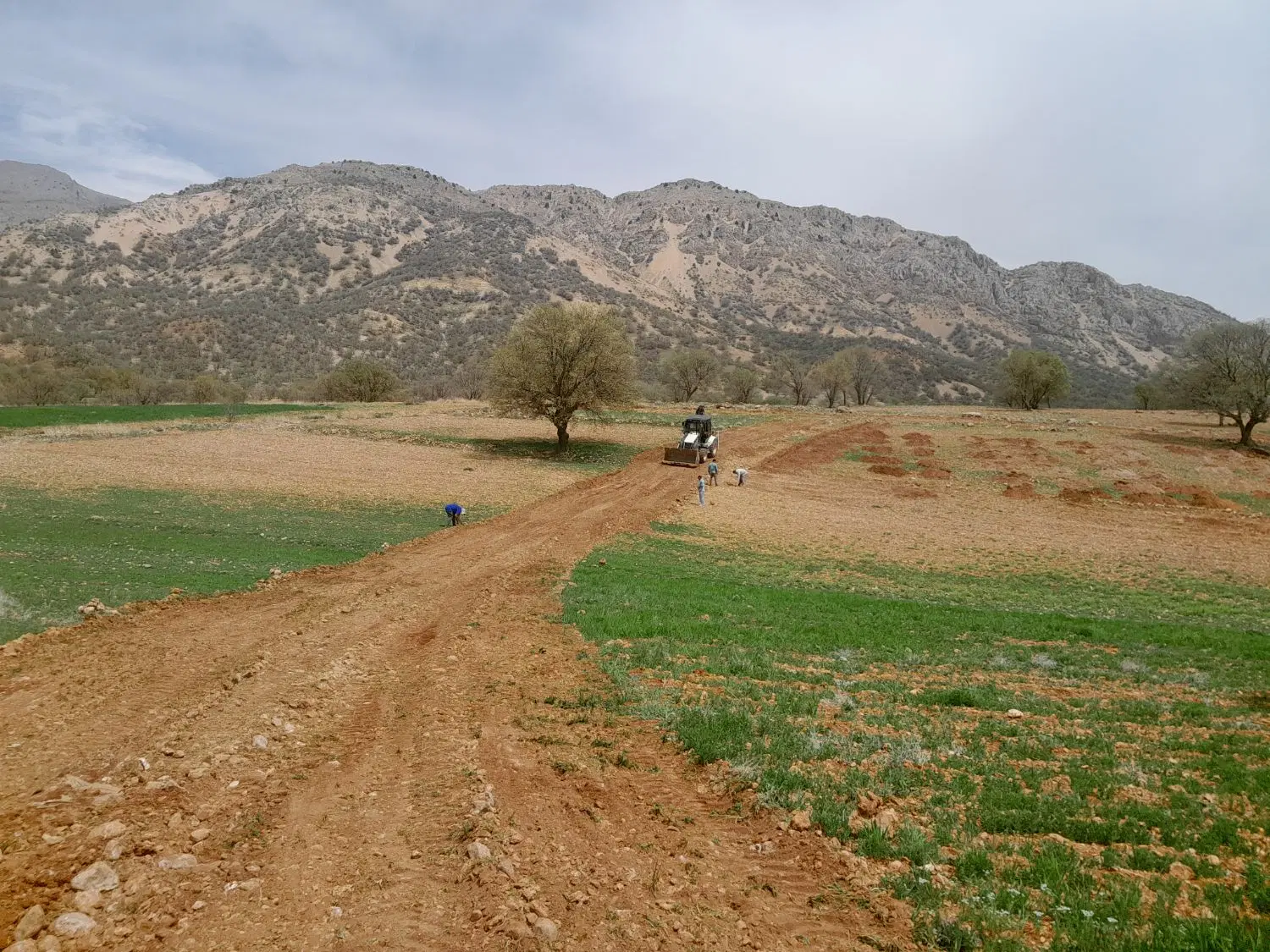 ۸۰۰ متر زمین کشاورزی گنجه ای بزرگ