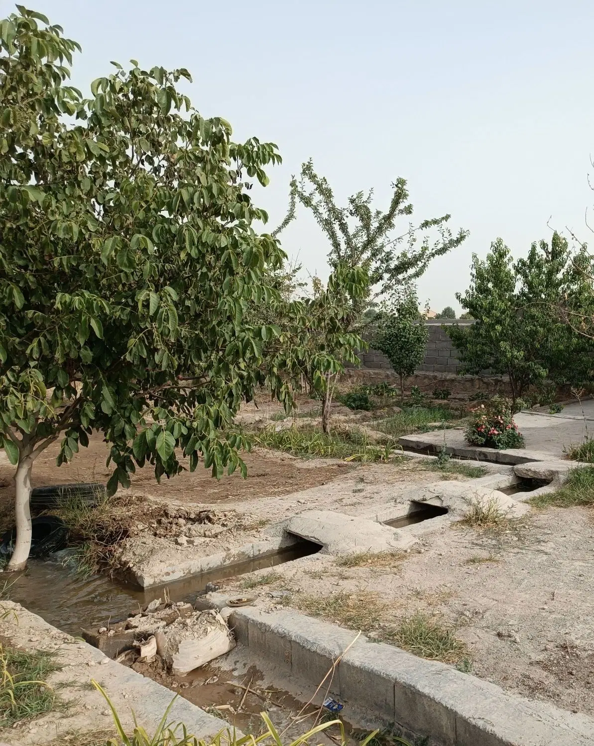 باغ ۳۰۰۰ متری در پنج کیلومتری چناران