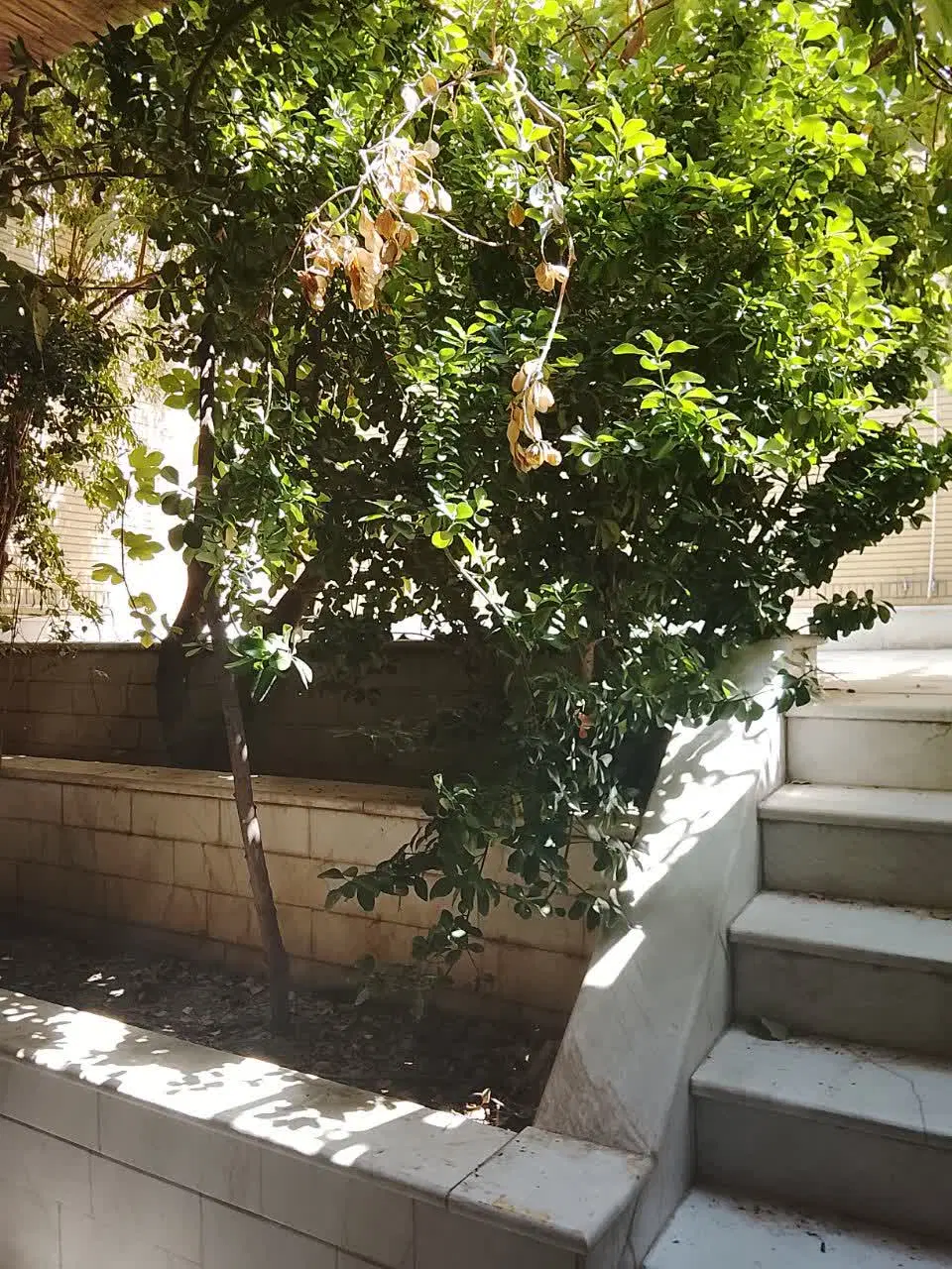 اجره منزل ۳ طبقه مناسب مسکونی و موسسه ها و اداری