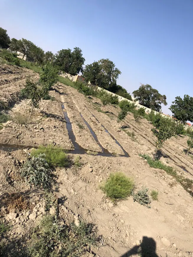 فروش زمین ۱۰۰۰ متری با کاربری باغ شاهنامه ۱۴