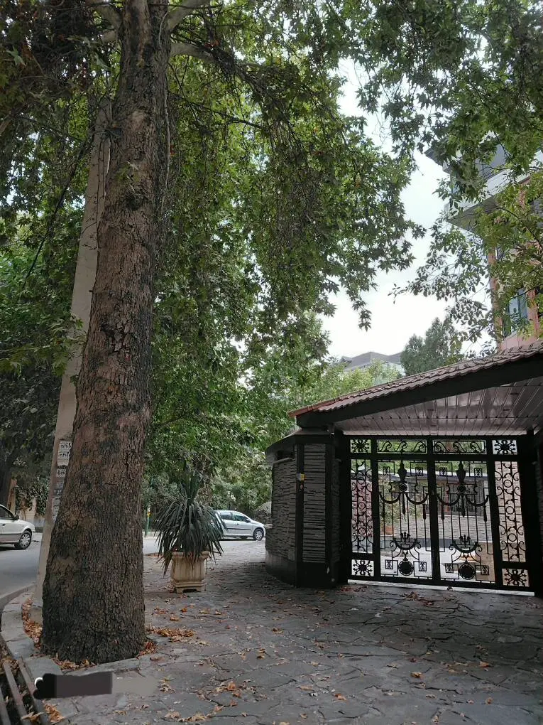 ۴۵متر بریانک شرقی