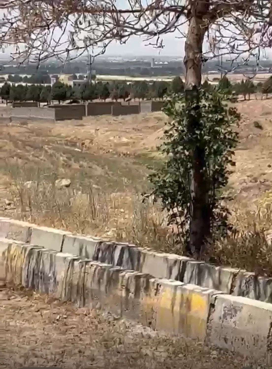 زمین ۱۱۰ متر زیر قیمت ۳۰۰ گذاشتم