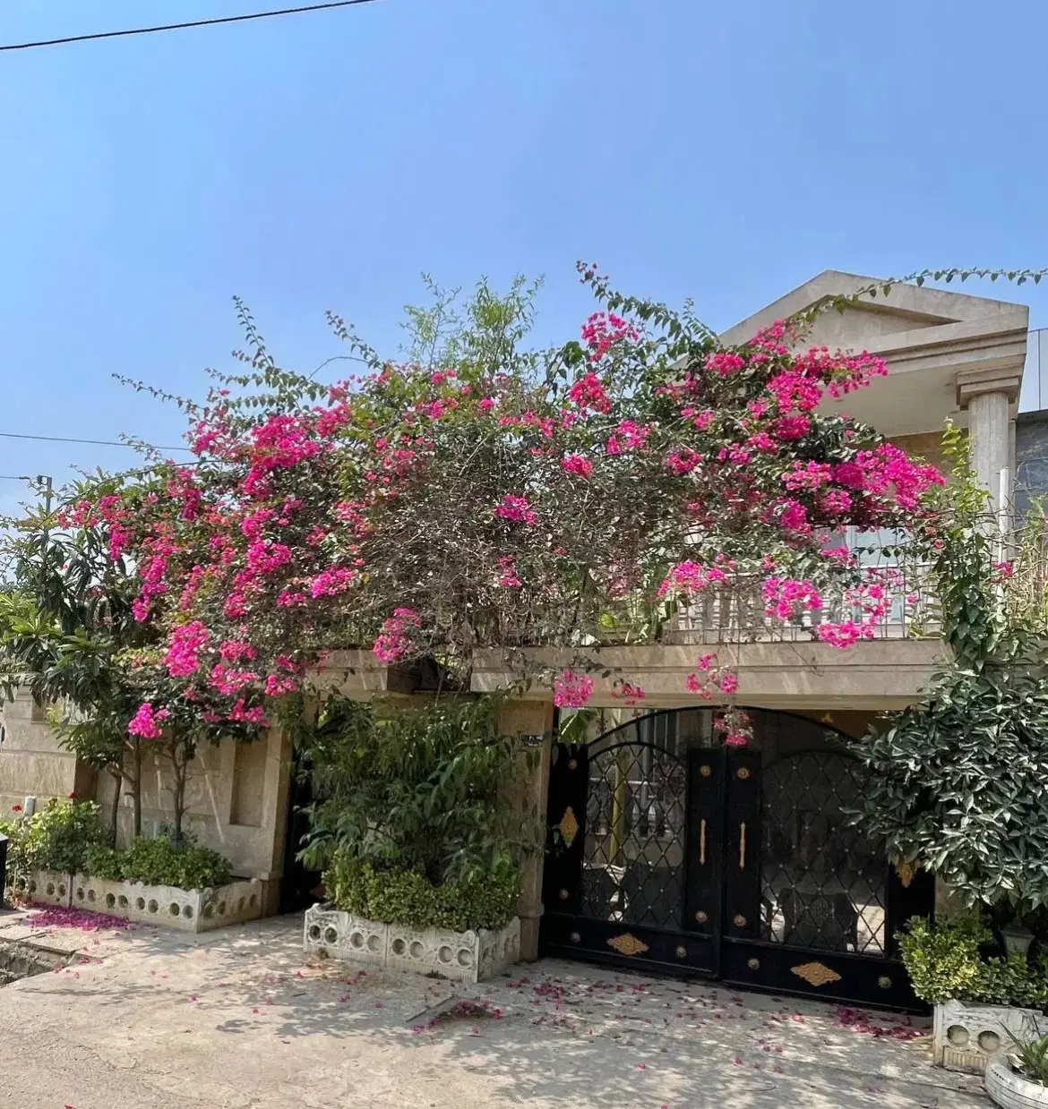 رهن کامل تریبلکس لوکس در رسالت