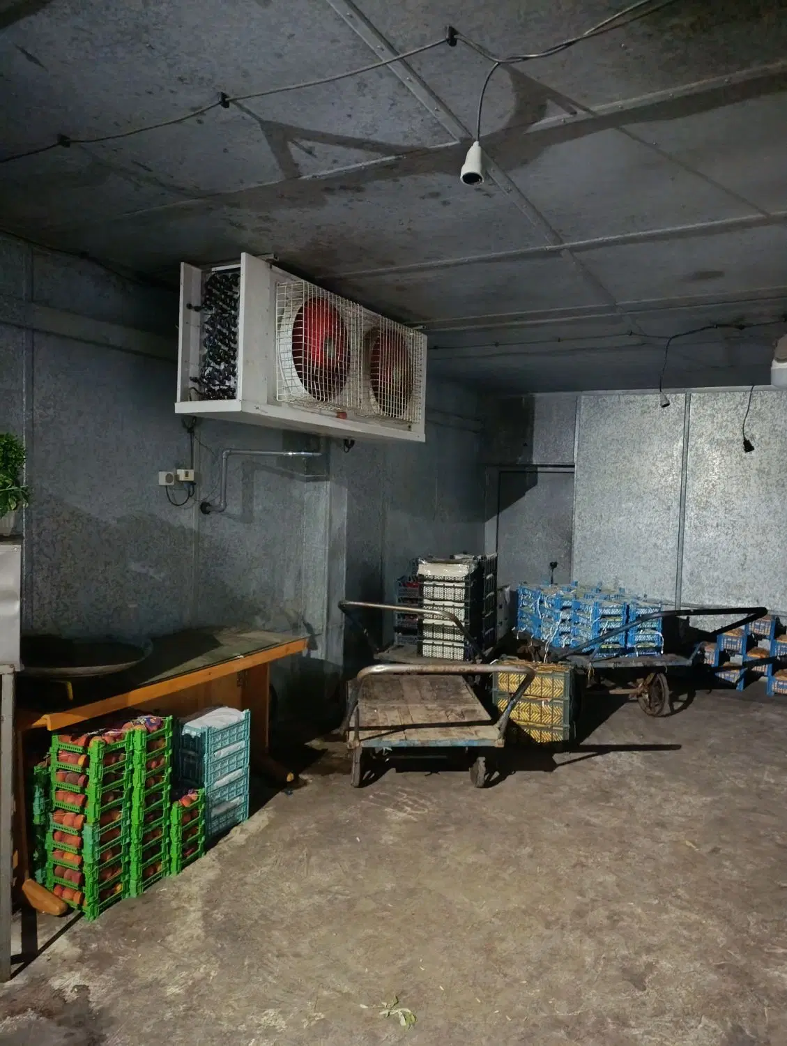 سردخانه ۸۰ تنی