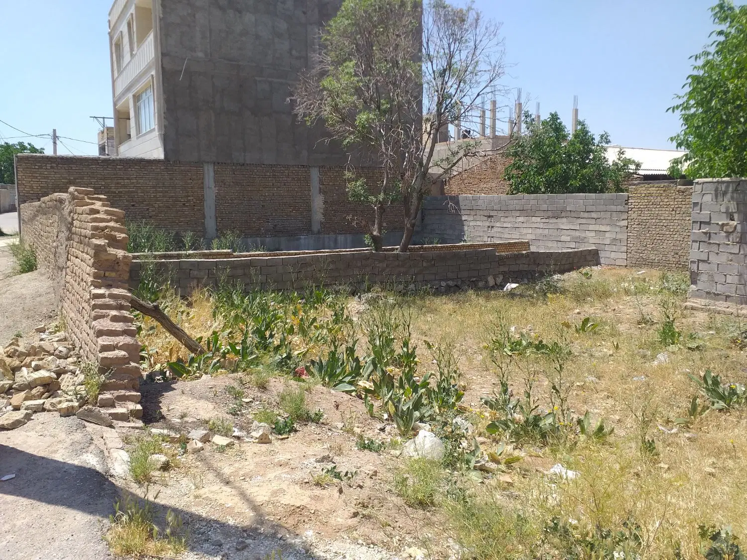 زمین جای خوب و خوش آب و هوا