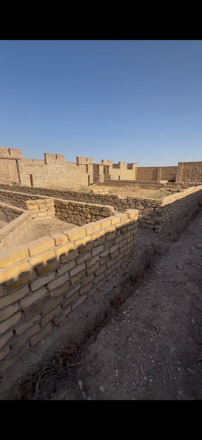 زمین گاوداری تک برگ سند
