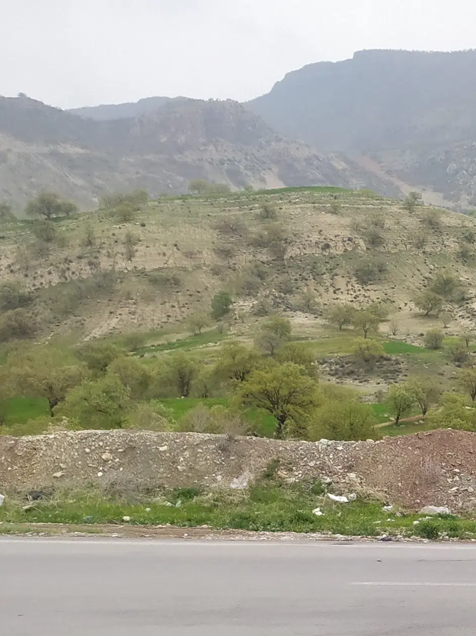 فروش زمین باغی سیاسرد