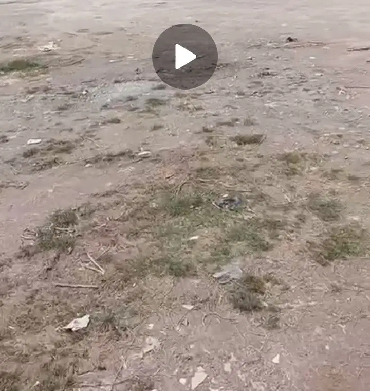 زمین مسکونی در شهرک بهاران