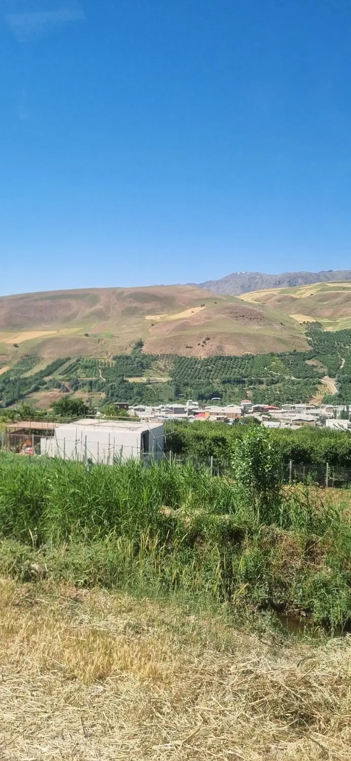 خرید و فروش زمین غیر مجاز کشاورزی