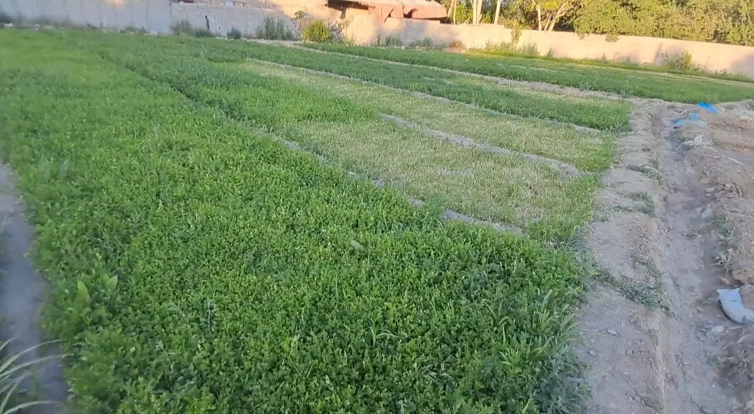 زمین فروشی