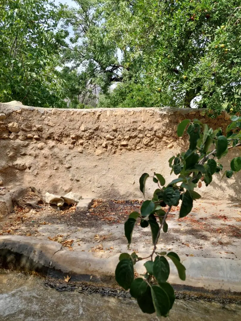 باغ جاده فسا و شیراز