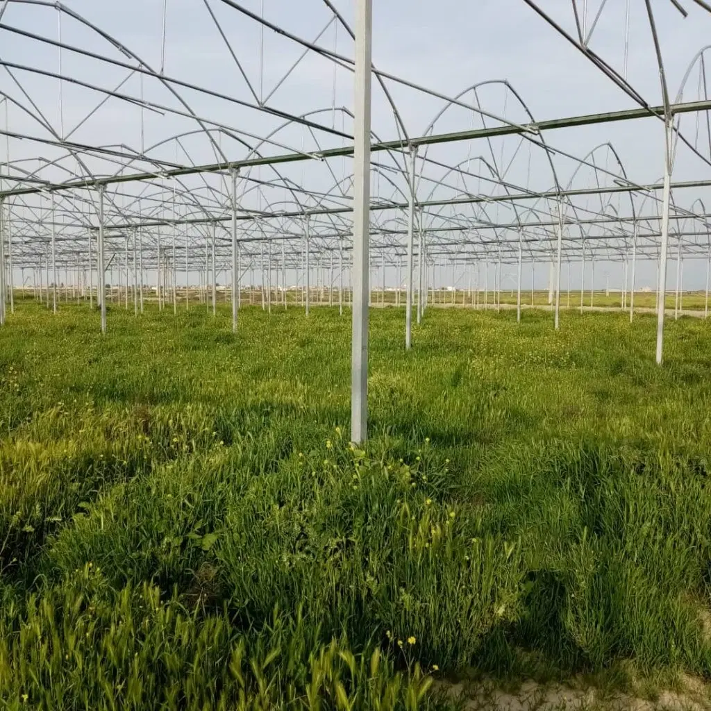 فروش اسکلت گلخانه