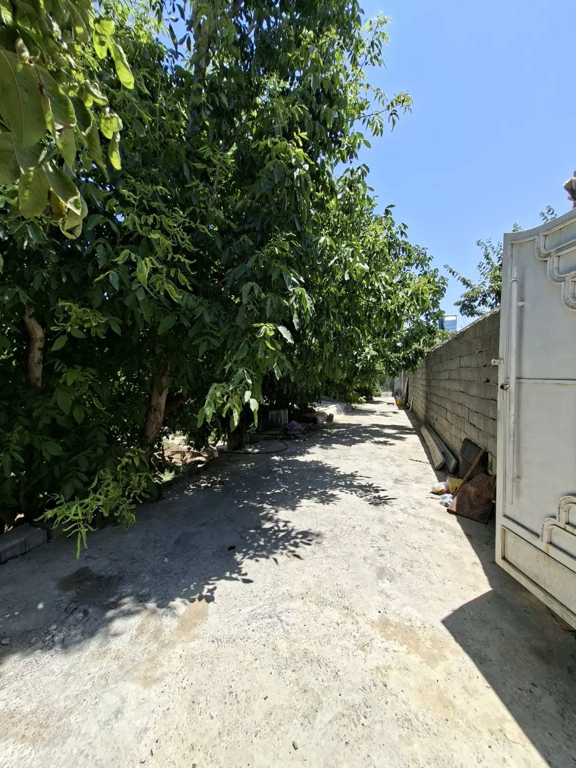 باغ بهاران 2 کله