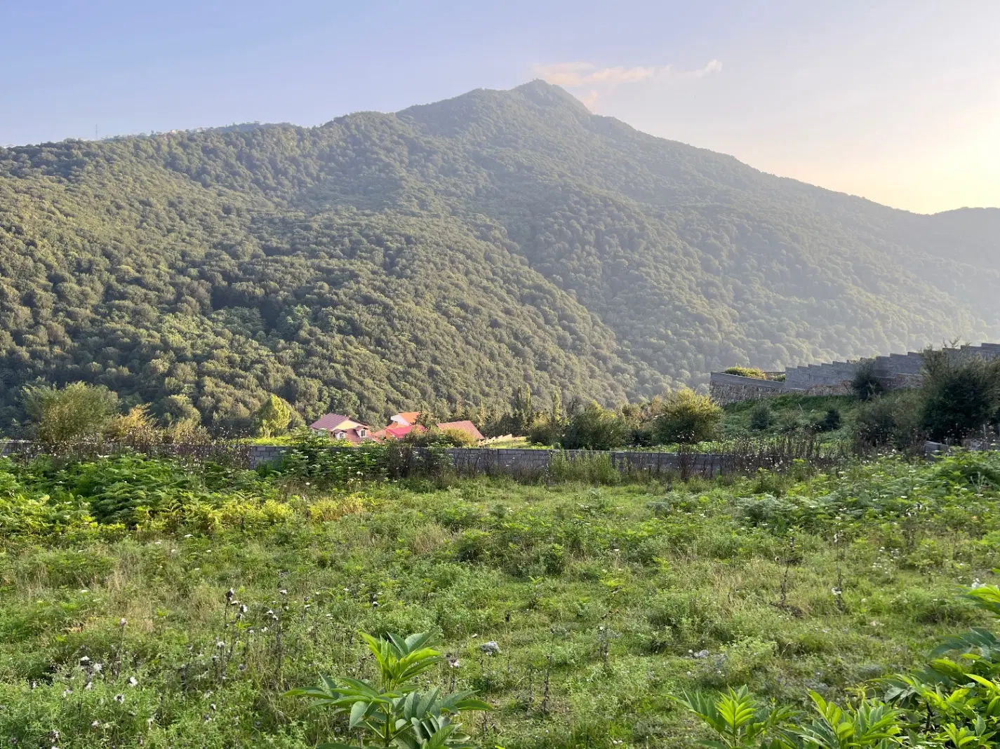فروش یک قطعه زمین به مساحت ۴۶۶ متر در روستای فلورد