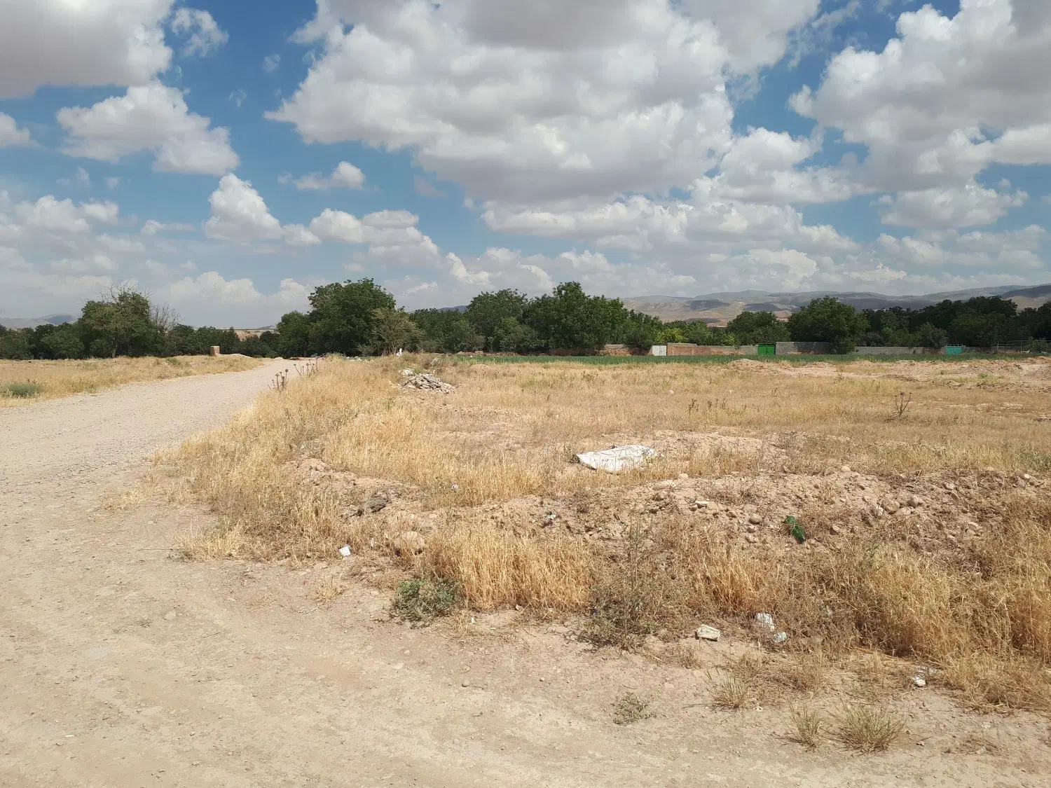 زمین کشاورزی