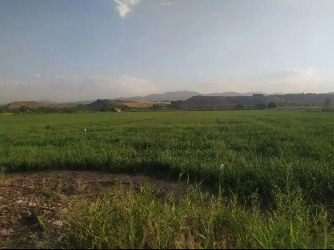 فروش زمین