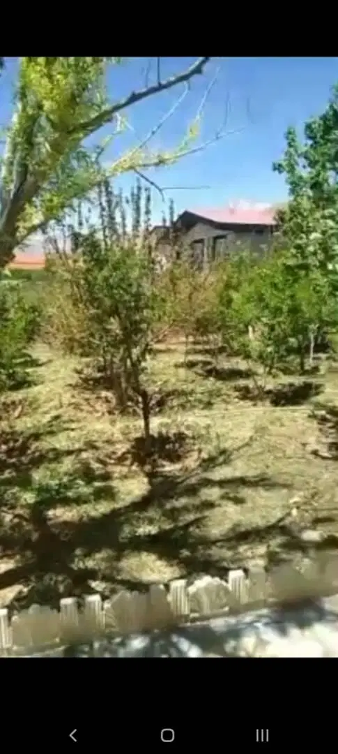 زمین دادگستری. 600متر مربع
