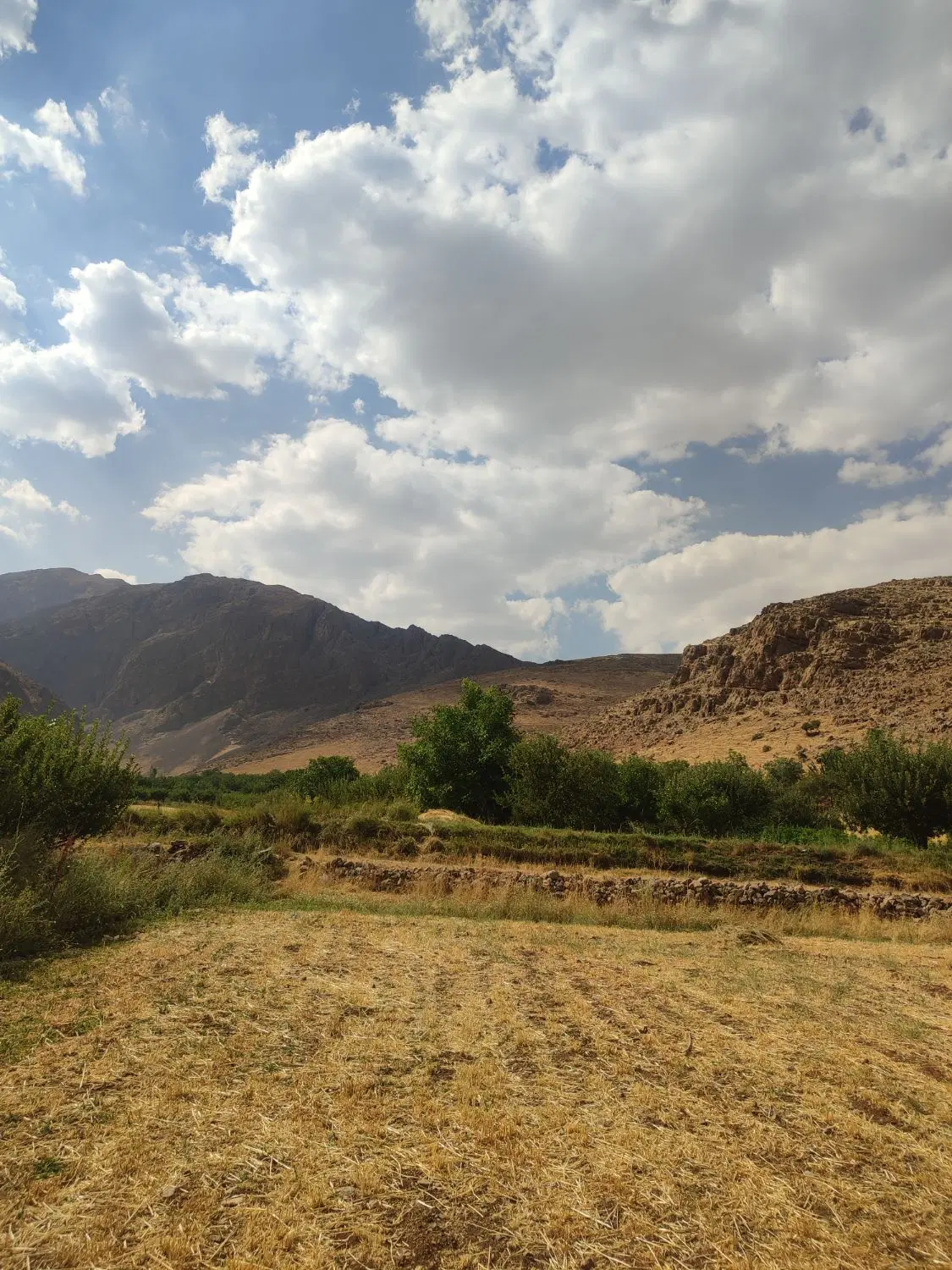 زمین فروشی جهت باغچه و ویلا