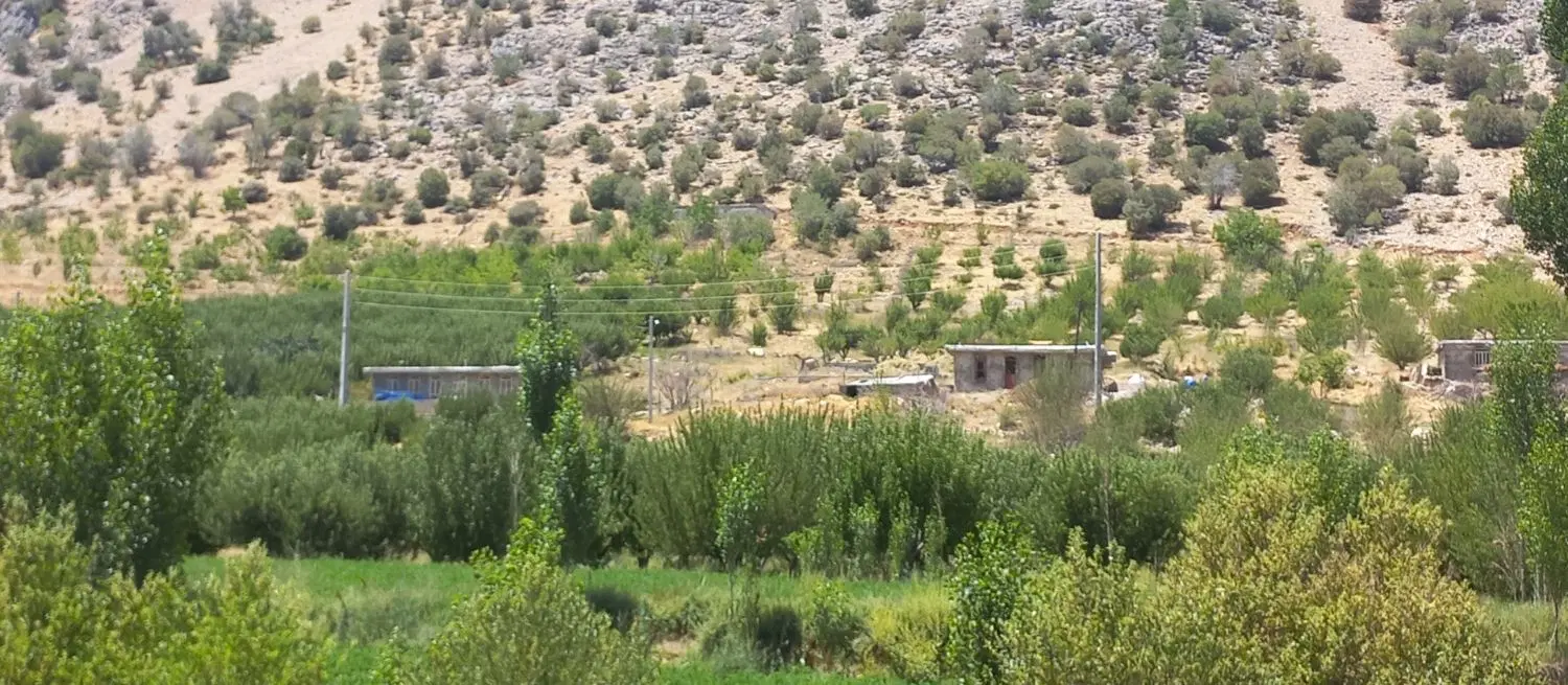 ۲۰۸۰ متر باغ سیب دارای آب برق گاز تلخدان دشتروم