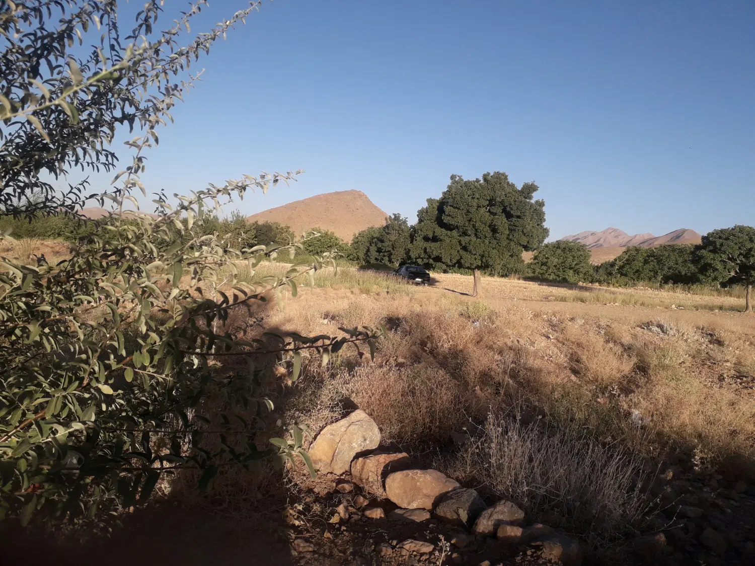 اجاره زمین