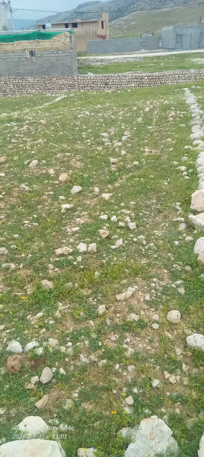 ملک فروشی