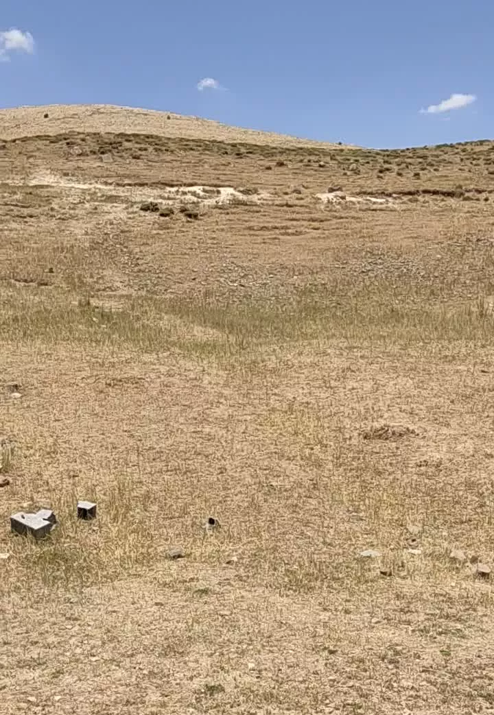 فروش زمین در پلور مازندران قابل معاوضه