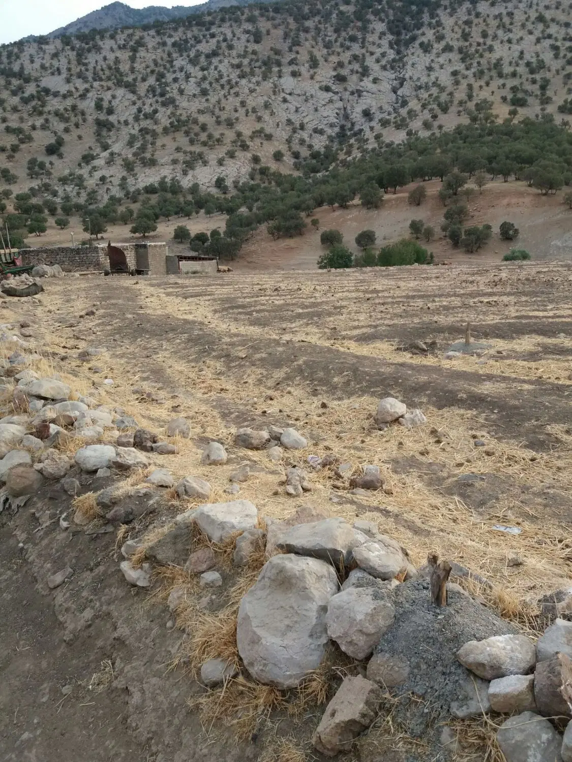 زمین ویلایی