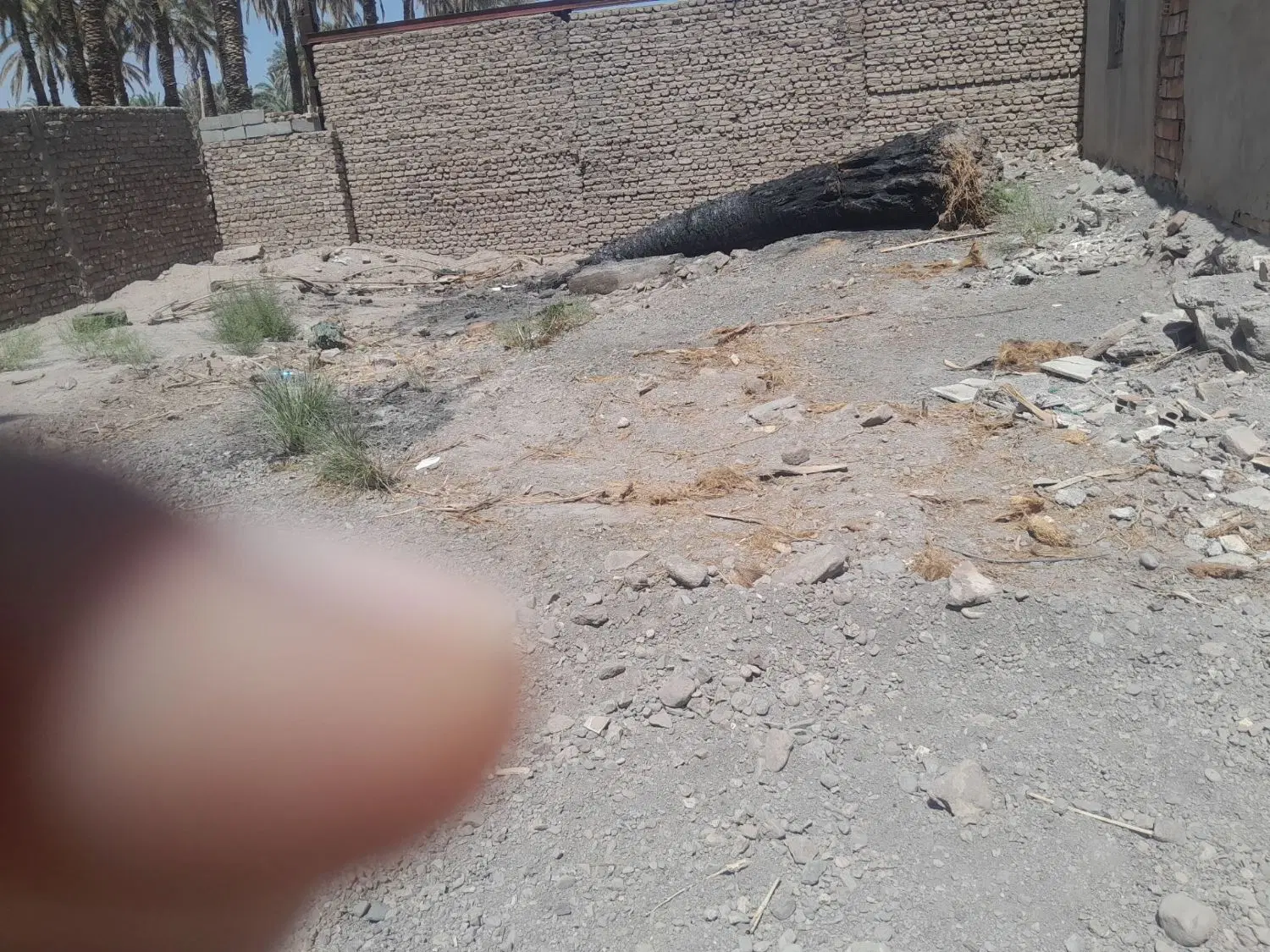 بوعلی21