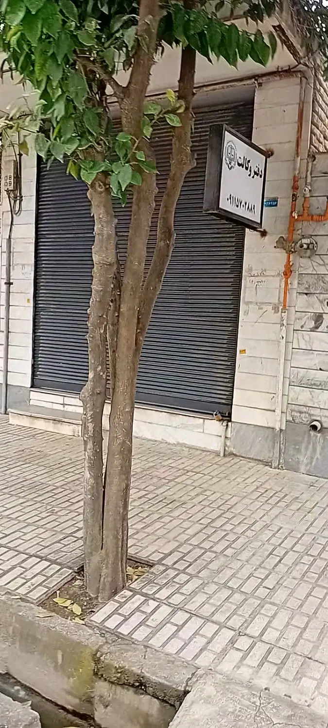 رهن و اجاره دفترکار یا مغازه