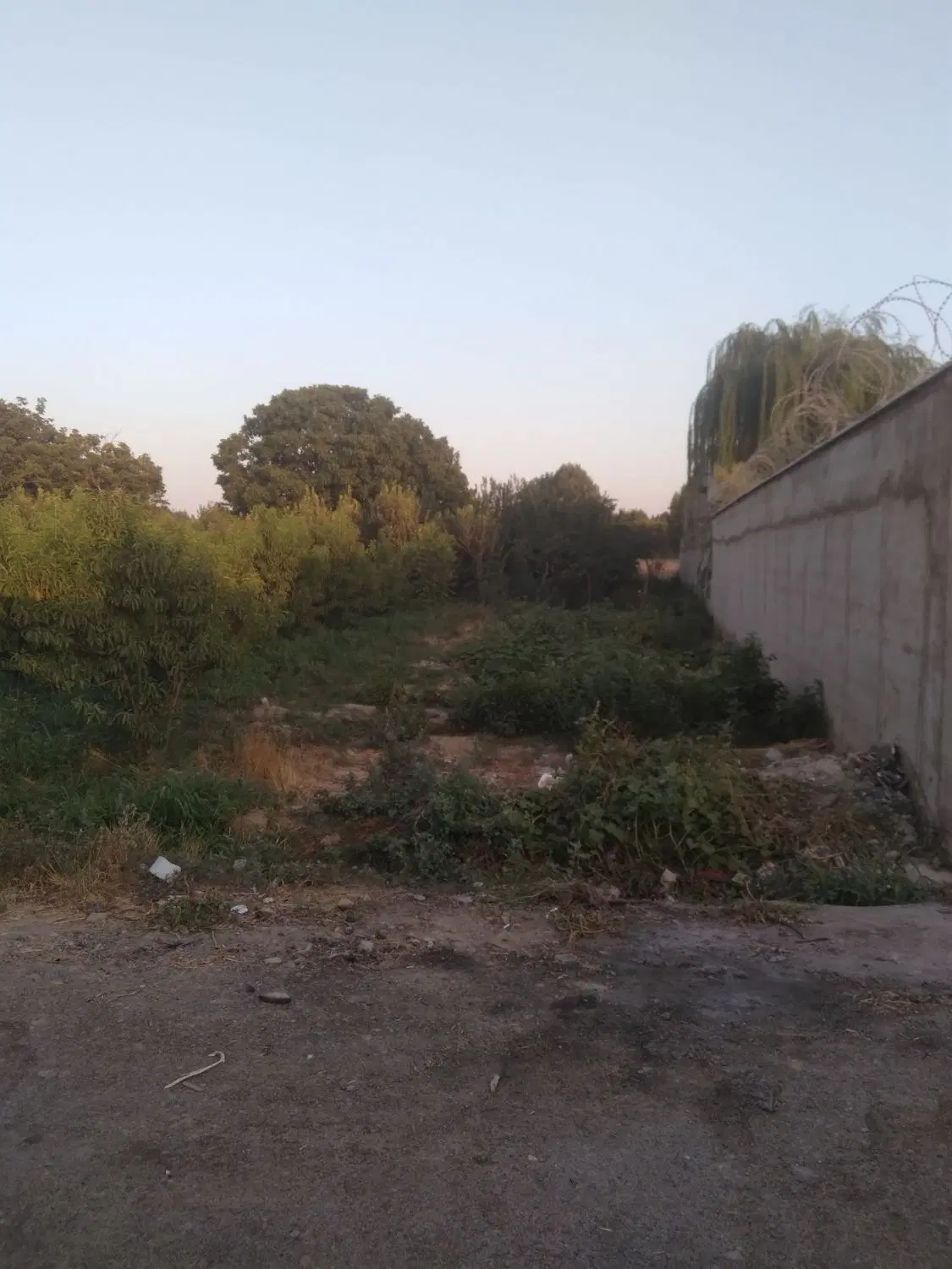 زمین ۲۸۰ متر عباس آباد سهیلیه