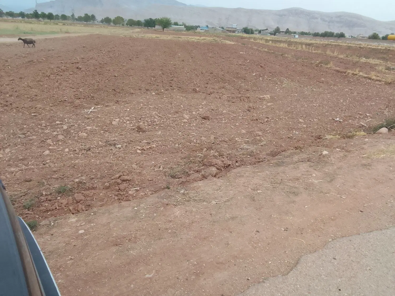 زمین متراژ ۱۰۰۰ متر مربع