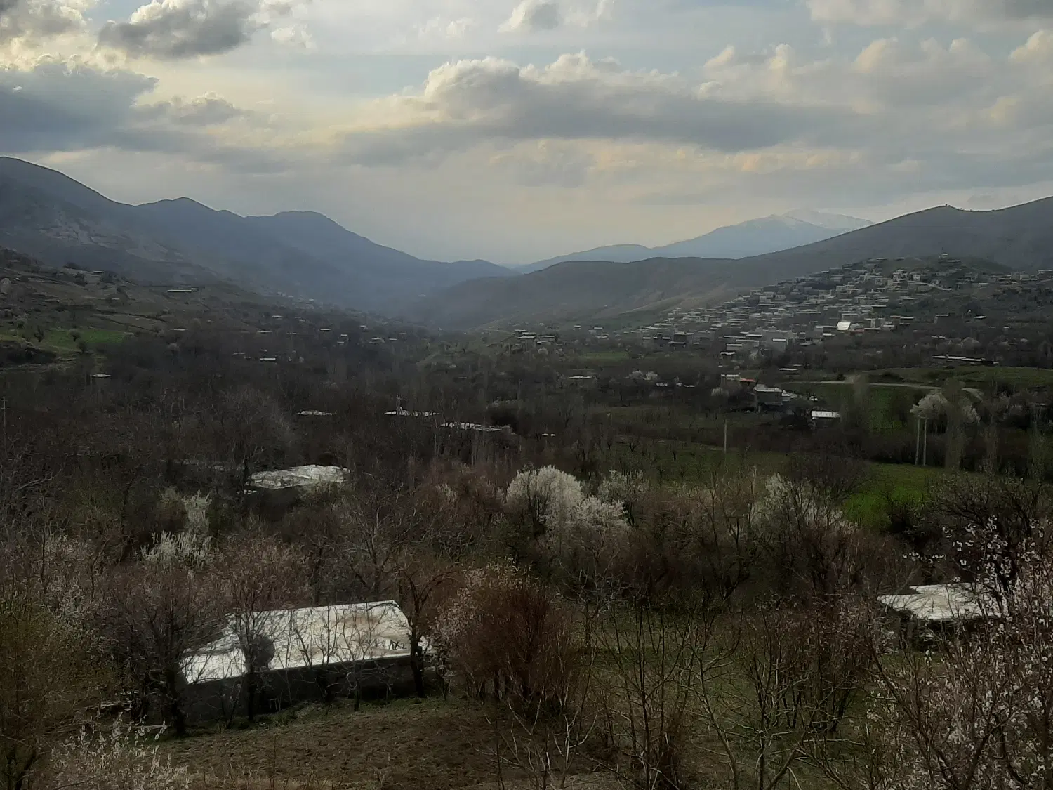 زمین در نوبهار