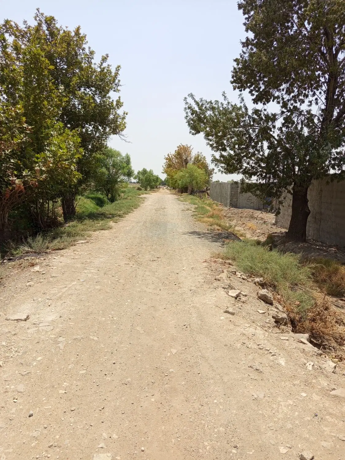 زمین صنعتی زارع 4