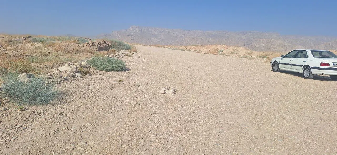 زمین بالای خانه کارگر_تقسیم دولتی