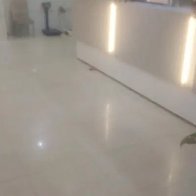هم،خانه،همخونه،اقا هستم