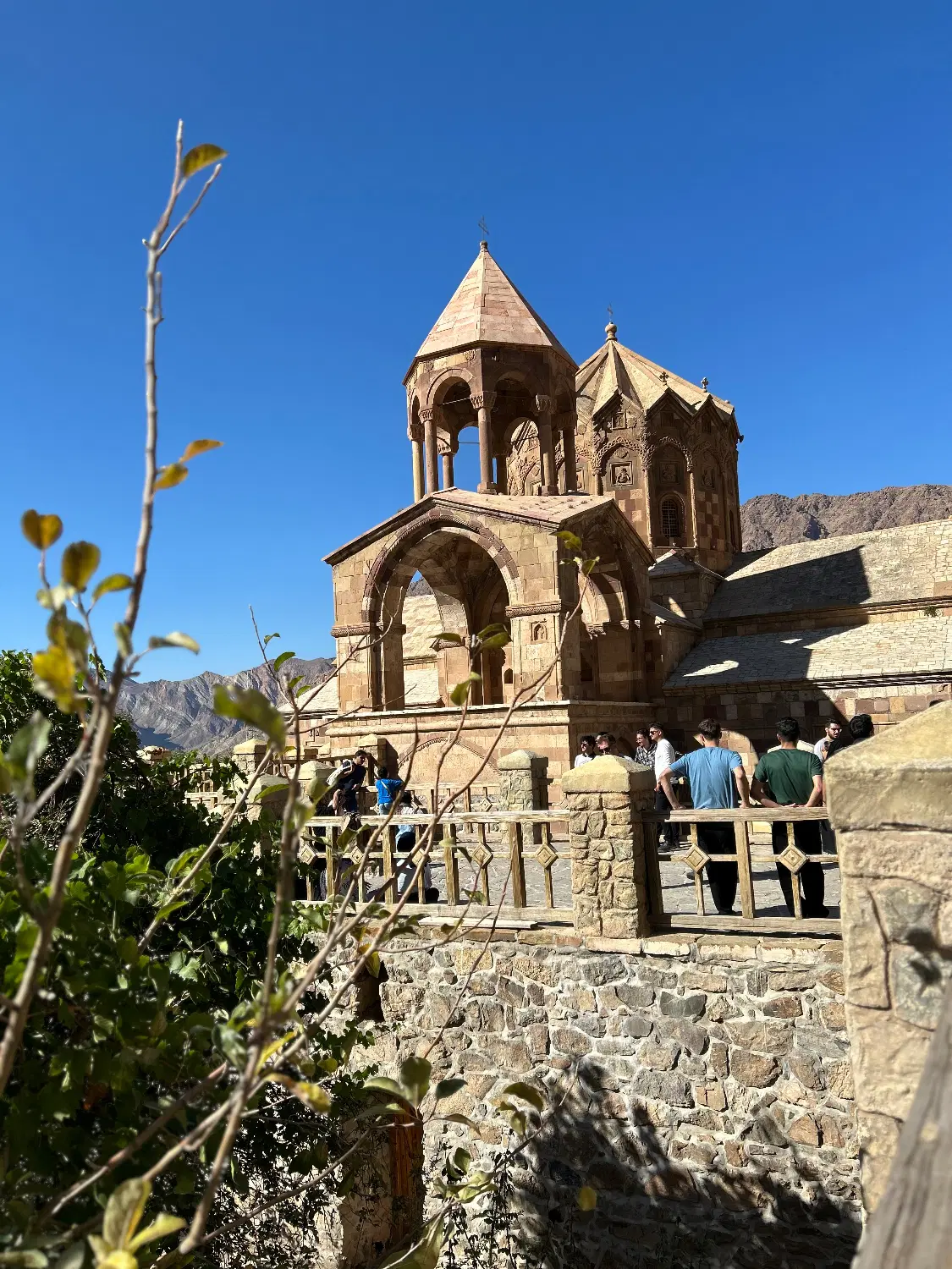 نیازمند همخانه شدن