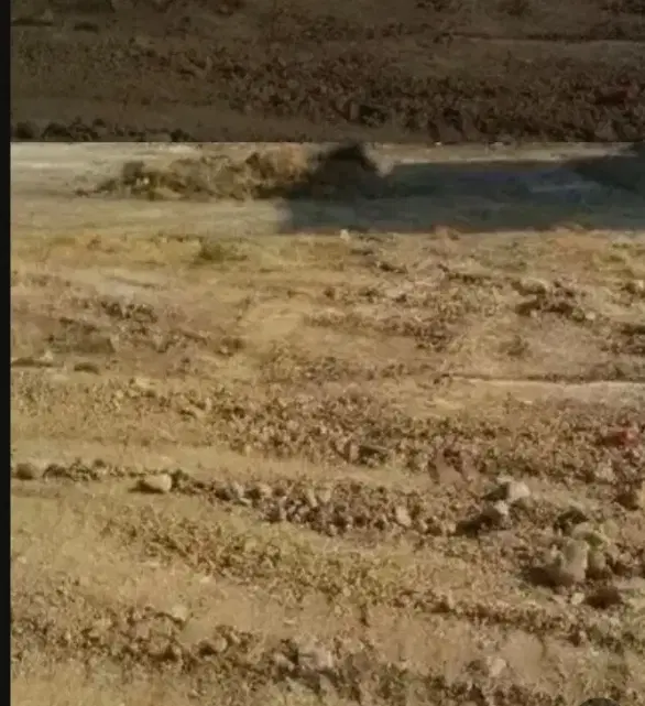زمین (تجاری_مسکونی) کرونی