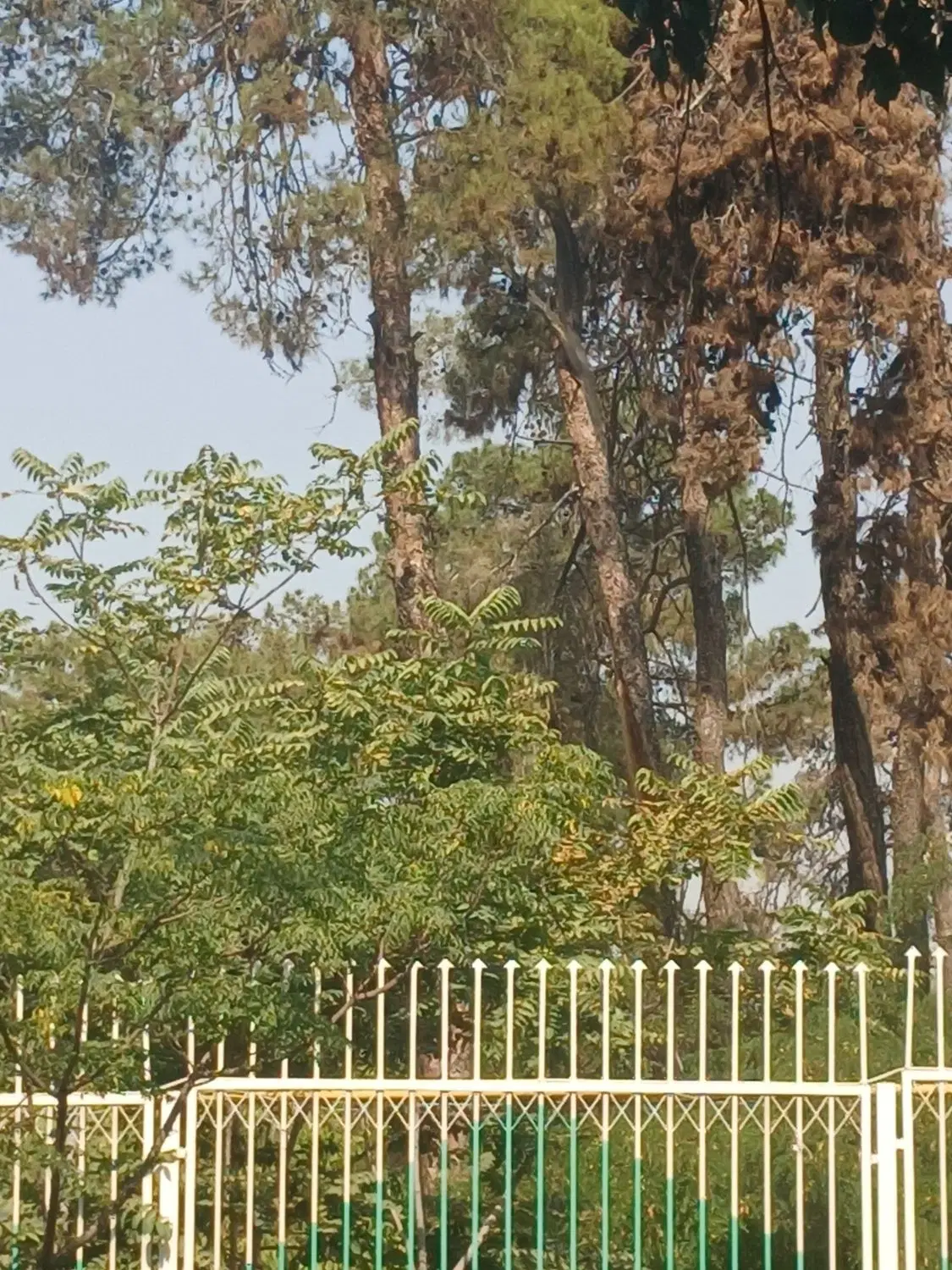۸۰ متری دوطبقه حیاط دار