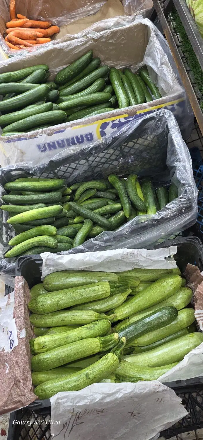 واگذاری مغازه میوه فروشی